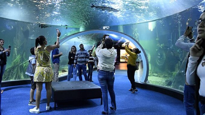 Bioparque-Pantanal-Fto-Bruno-Rezende-02-730x425
