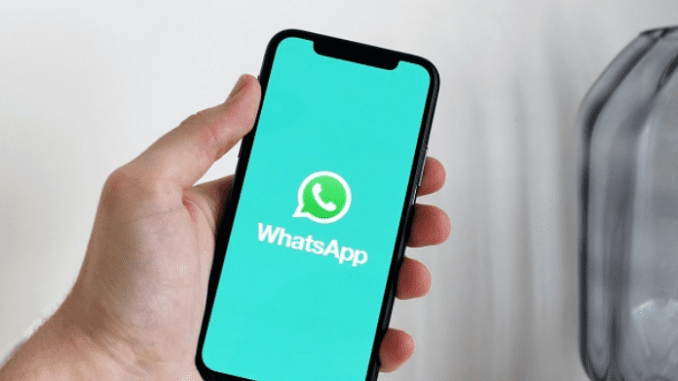 Aplicativo do WhatsApp (Imagem: Anton/Pexels) Aplicativo do WhatsApp (Imagem: Anton/Pexels)