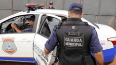 Guarda Civil Metropolitana de Campo Grande (Foto: Ilustração/PMCG)