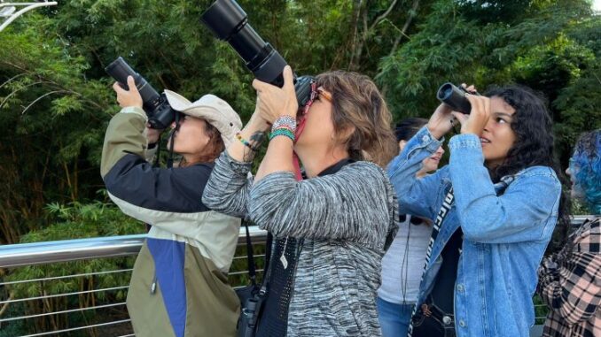 observadores de passáros