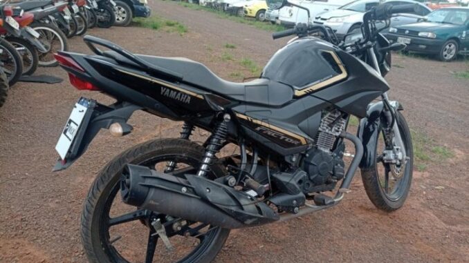 lote-113-leilao-770-730x480